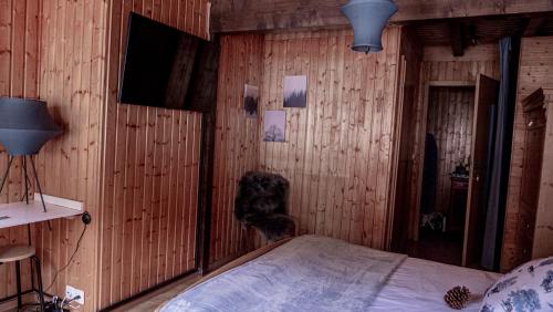 a bedroom with wooden walls with a bed and a tv at Relais des Mélèzes in Vissoie