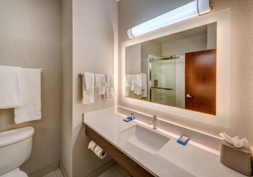 A bathroom at Holiday Inn Express Reno Airport, an IHG Hotel