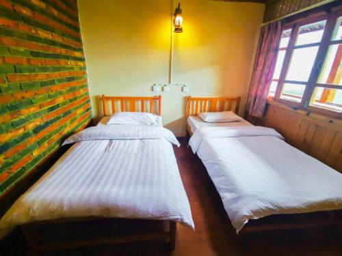 Katil atau katil-katil dalam bilik di Tiger leaping gorge tea horse gasthaus