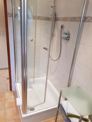a bathroom with a shower with a glass door at Gasthof & Pension Erlengrund in Gersfeld
