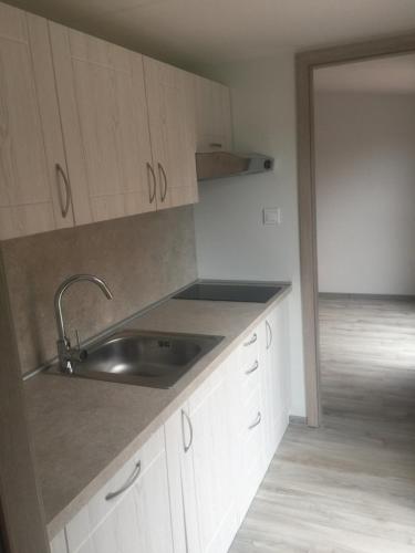 a kitchen with a sink and a counter top at Mobile House in Liptovský Trnovec