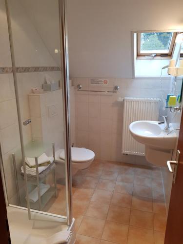 a bathroom with a shower and a toilet and a sink at Gasthof & Pension Erlengrund in Gersfeld