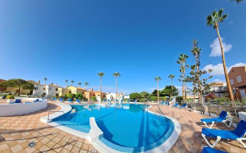 a pool at a resort with chairs and palm trees at almacanarias.holidays Alma 2 in Adeje
