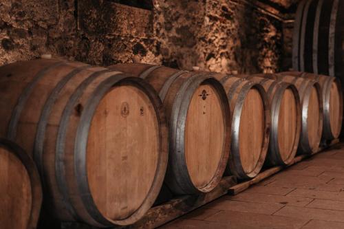 a row of wooden wine barrels in a cellar at Freigut Thallern in Gumpoldskirchen