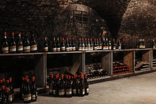 a bunch of wine bottles on display in a cellar at Freigut Thallern in Gumpoldskirchen