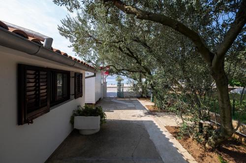 Maslina Apartman