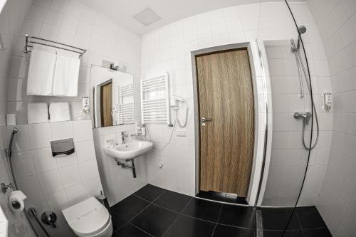 a bathroom with a toilet and a sink at Kolobok in Luts'k