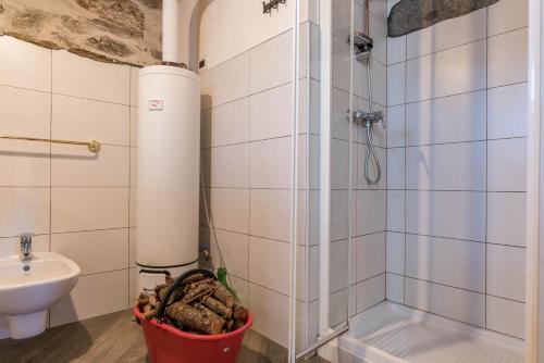 een badkamer met een douche en een wastafel bij Baita dai Cotai in Groppe de Fora