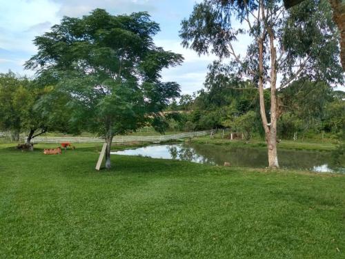 une masse d'eau avec des arbres dans l'herbe dans l'établissement Casa chácara, à Cará-Cará