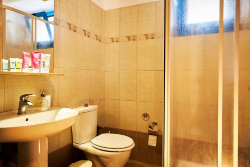 a bathroom with a toilet and a sink and a shower at Nerida Beachfront Villas in Plimmiri