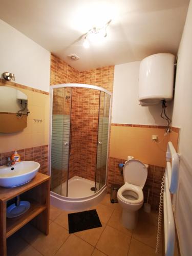 a bathroom with a shower and a toilet and a sink at Agroturystyka Klęk in Stryków
