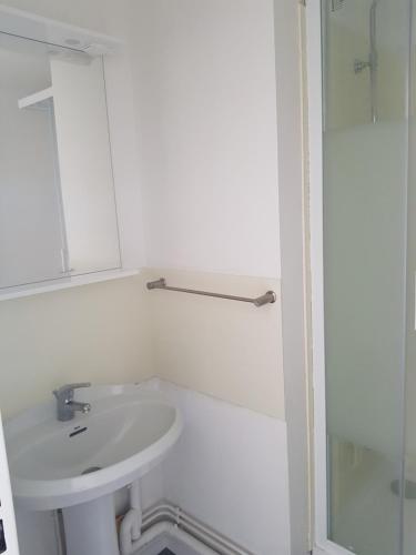 La salle de bains est pourvue d'un lavabo et d'une douche. dans l'établissement studio front de mer, à Ouistreham