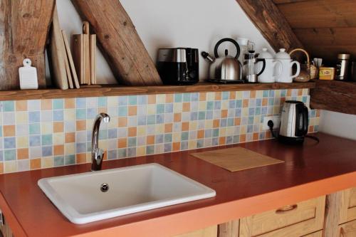 a kitchen counter with a sink in a kitchen at U Devíti vidlí in Žlutice