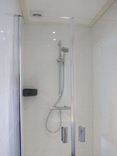 una ducha con cabezal de ducha en un baño en DortDomburg, en Domburg
