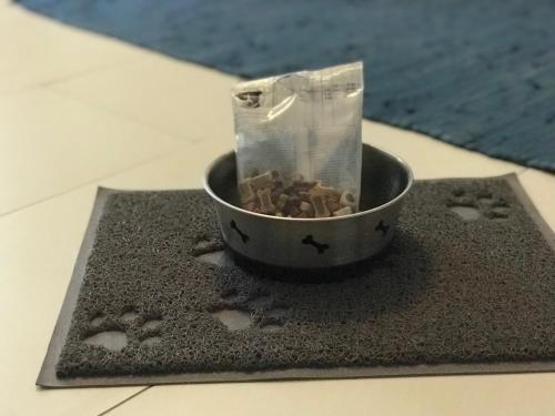 a small bowl of dog food sitting on a rug at Ostwind - ferienwohnungen & meer in Steffenshagen