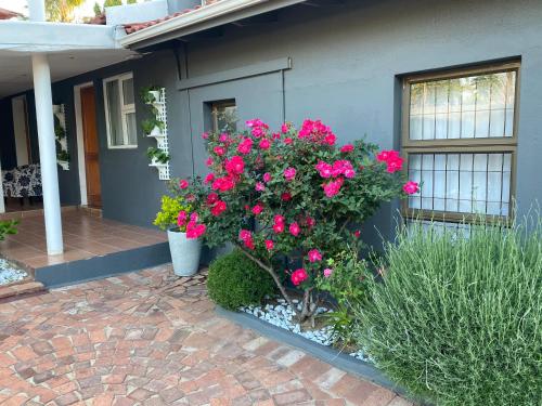 a house with pink flowers on the side of it at Marion Lodge in Johannesburg