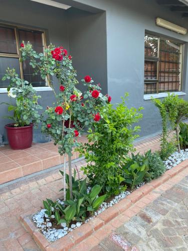 a garden with red flowers and plants in front of a building at Marion Lodge in Johannesburg