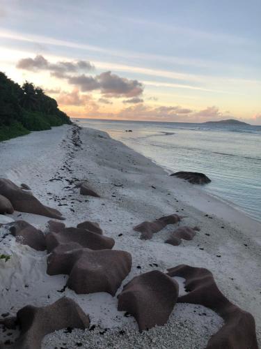 a beach with rocks in the sand and the ocean at La Belle Digue Don in La Digue