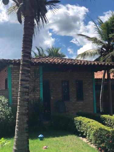 a house with a palm tree in front of it at Pousada do Riacho in Barreirinhas