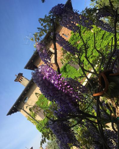 Zahrada ubytování Torre de Salis