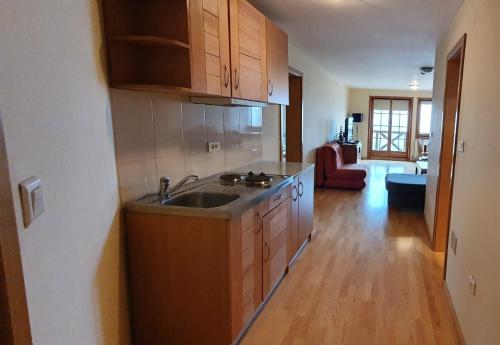 uma cozinha com um lavatório e uma sala de estar em Apartman 117 Vucko Jahorina em Jahorina