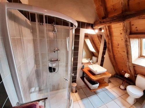 une salle de bain avec une douche, des toilettes et un lavabo dans l'établissement Chambre d'hôtes La Ferme de la Croix., à Saint-Avit-Sénieur