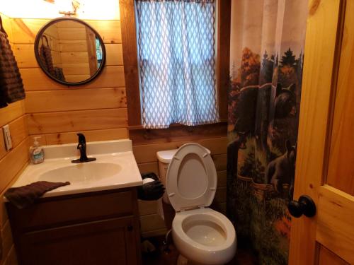 a bathroom with a toilet and a sink and a mirror at The Riverside - An Amish Built Log Cabin in Genoa