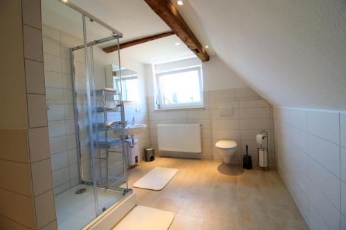 y baño con ducha de cristal y aseo. en Ferienwohnung Klosterblick, en Drübeck