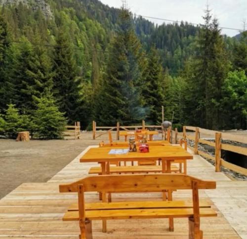a group of wooden picnic tables on a wooden deck at CABANA MARIA-PETRIMANU in Ciungetu