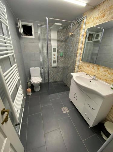 a bathroom with a shower and a sink and a toilet at CABANA MARIA-PETRIMANU in Ciungetu
