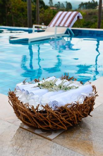 a wicker basket sitting next to a swimming pool at Capão do Cerrado Pousada e Spa in Itabirito