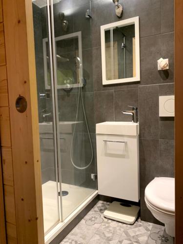 a bathroom with a shower and a toilet and a sink at Verbier Medran apartment in Verbier