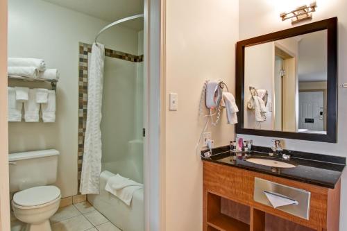 德藍赫勒的住宿－侏羅世酒店，一间带水槽、卫生间和淋浴的浴室