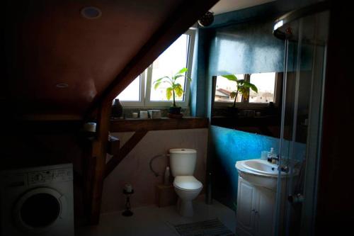 a bathroom with a toilet and a sink and a window at Caly apartament in Bydgoszcz