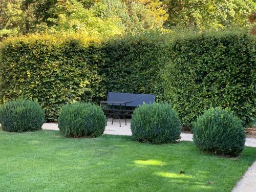 Κήπος έξω από το Residenz im Park
