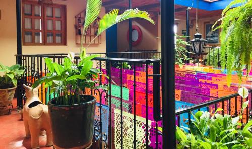 a balcony with plants and a colorful fence at Hotel Cazomalli Oaxaca in Oaxaca City