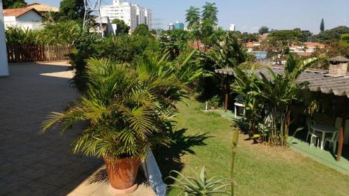 a group of palm trees in a yard at Flat Tacaunas in Sao Paulo