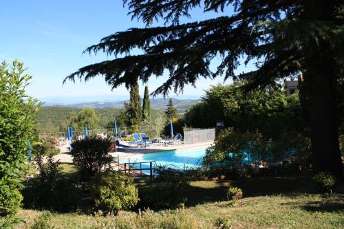 a swimming pool in a garden with a tree at Villa Sant’Uberto Country Inn in Radda in Chianti