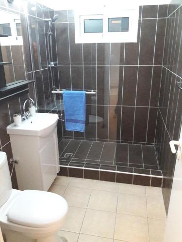 La salle de bains est pourvue de toilettes et d'une douche avec une serviette bleue. dans l'établissement Holiday home, à Larnaka