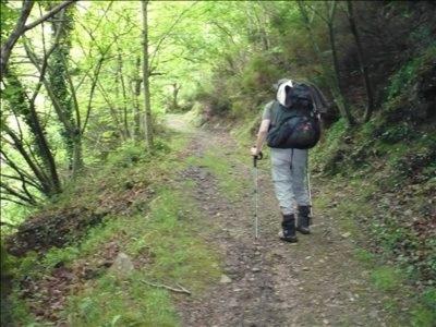 Foto dalla galleria di Hotel Nueva Allandesa a Pola de Allande