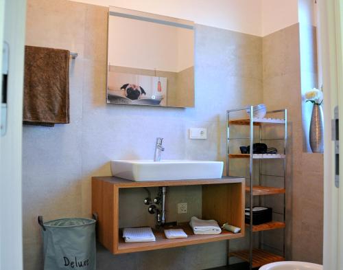 un baño con lavabo y espejo en Ruhige Ferienwohnung mit Garten und Garage in Privatvilla, en Marlengo