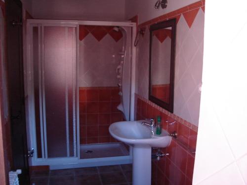 a bathroom with a sink and a shower at La Insula de Castilnuevo in Castilnuevo