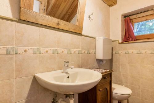 a bathroom with a sink and a toilet at Baita Pizabornè in Groppe de Fora