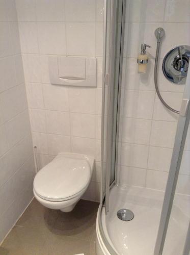 a bathroom with a toilet and a shower at Gästehaus Margarete in Bad Wiessee