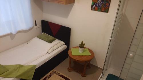 a small room with a bed and a table at Elisabeth Hostel in Vienna