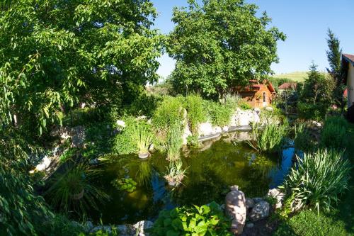 Zahrada ubytování Hotel Bielmann