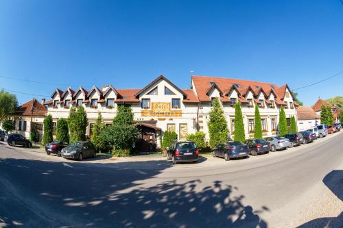Gallery image of Hotel Bielmann in Sînpetru