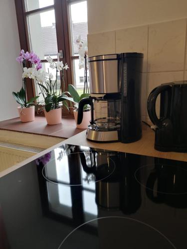 Dapur atau dapur kecil di Zur alten Post Zittau