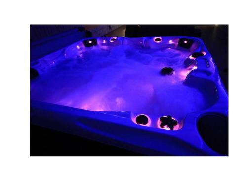 伯恩茅斯的住宿－斯圖爾特山酒店，紫色的热水浴缸,里面装有岩石