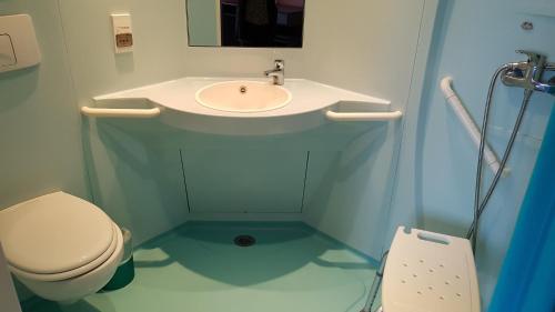 La petite salle de bains est pourvue de toilettes et d'un lavabo. dans l'établissement Hotel Regina, à Ars-sur-Formans